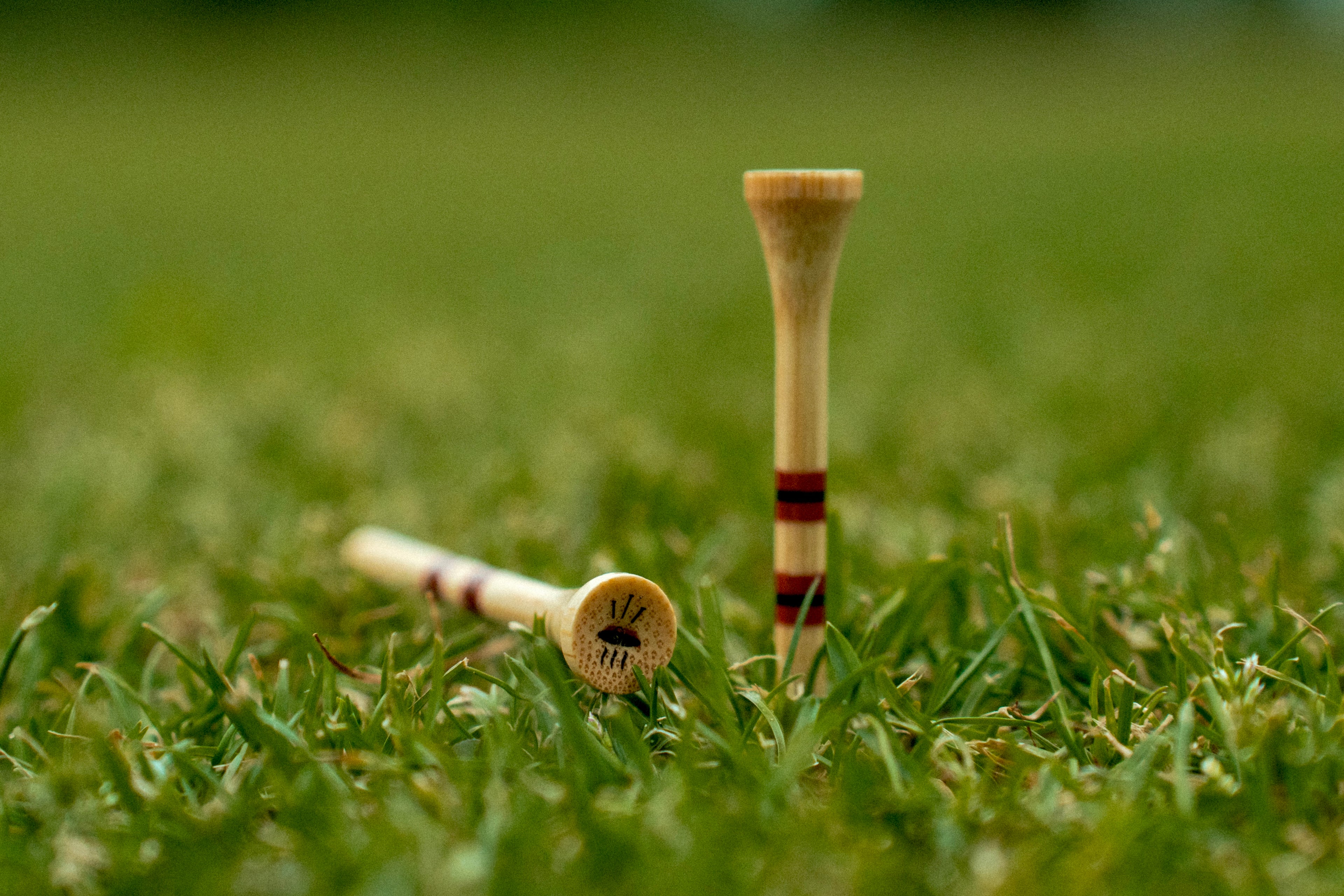 "Grill Masters" Golf Tees (Pre-Order July 1st)