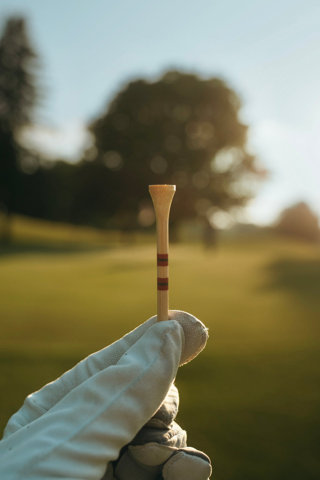 "Grill Masters" Golf Tees (Pre-Order July 1st)
